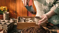 Zasejte v únoru – sklidíte úrodu po pytlích: osvědčený seznam pro bohatou sezónu